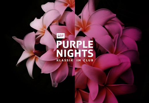 Bild von «SRF Purple Nights»