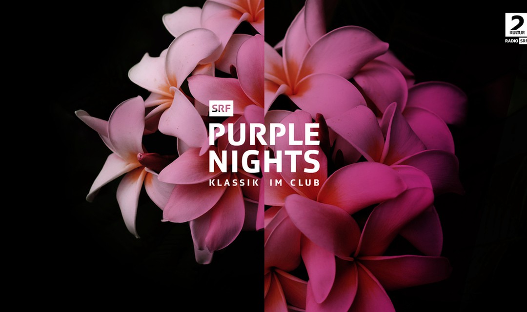 Visual SRF Purple Nights