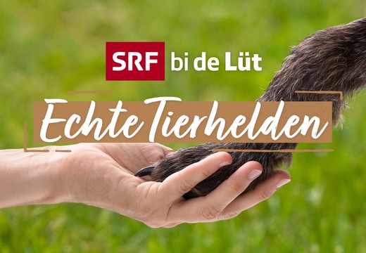 Bild von Beurteilung «Echte Tierhelden»