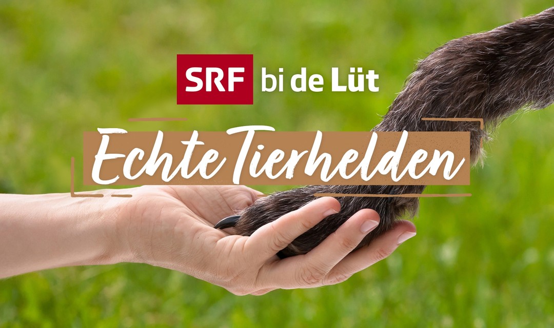 Bild von Beurteilung «Echte Tierhelden»