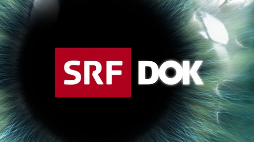 Bild von SRF-«DOK»: Fenster in spannende Welten