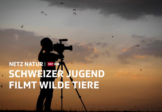 Bild von «NETZ NATUR»: Schweizer Jugend filmt ... wilde Tiere