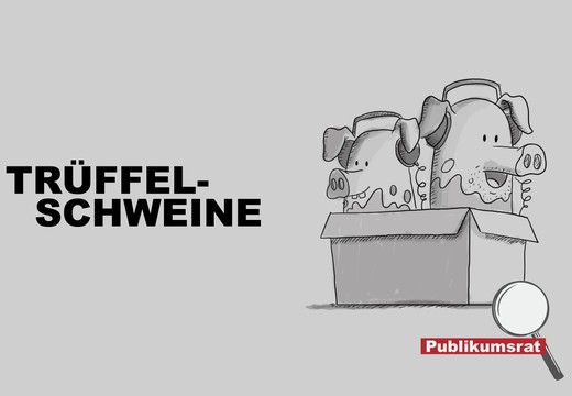 Bild von Im Fokus des Publikumsrats: «Trüffelschweine»