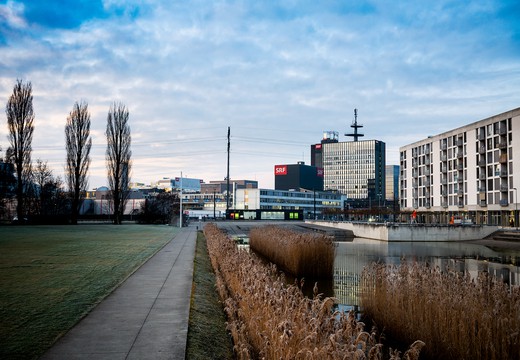 Bild von SRF mit positiver Nutzungsbilanz im ersten Halbjahr 2021