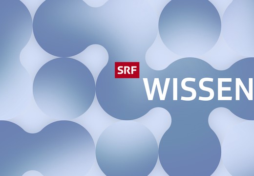 Bild von «SRF Wissen»: Zwei neue Hubs für alle Wissbegierigen