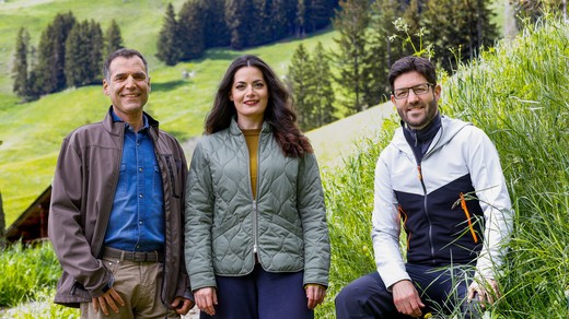 Bild von Die Highlights im Sommerprogramm 2023 von SRF