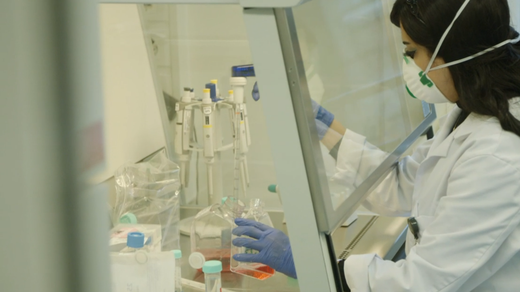 Bild von «Einstein»: Der Kampf der Wissenschaft gegen die Seuche