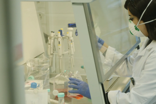 Bild von «Einstein»: Der Kampf der Wissenschaft gegen die Seuche