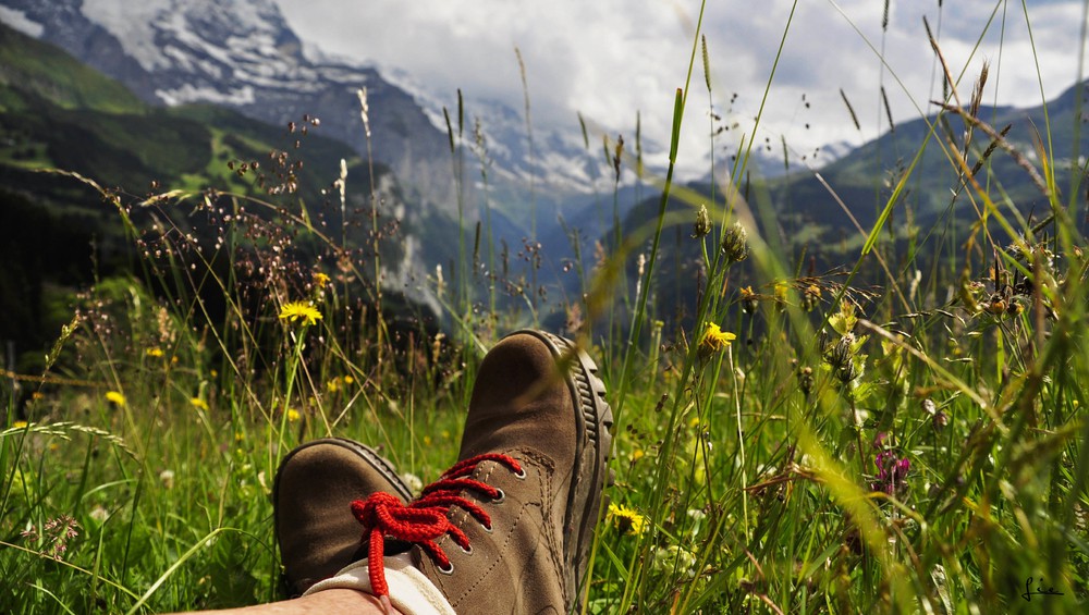 Schweizer Berge mit Natur im Hintergrund