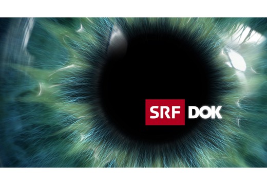 Bild von «DOK»: Im Kreuzfeuer – Wie die SRG unter Druck kam