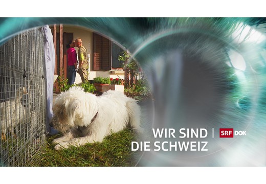 Bild von Neue «DOK»-Serie «Wir sind die Schweiz»