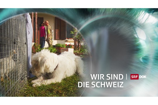Bild von Neue «DOK»-Serie «Wir sind die Schweiz»