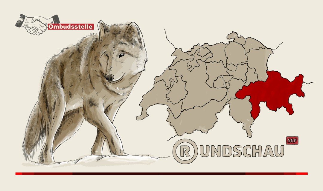 Bild von Sachgerechte «Rundschau» zum Wolf