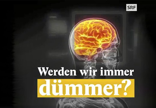 Bild von «Nouvo» über sinkenden IQ war rechtens