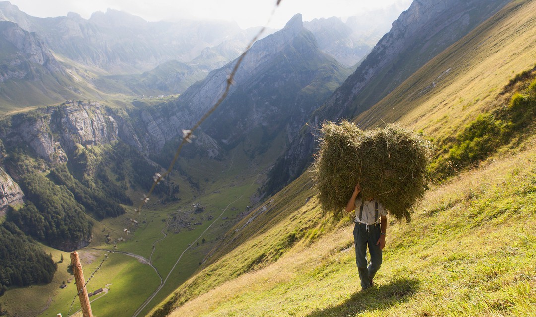 Ein Bergbauer trägt eine Ladung Heu einen Hang hinauf.