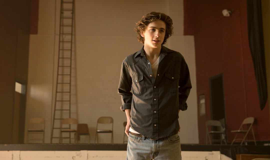 Timothée Chalamet als Nic Sheff