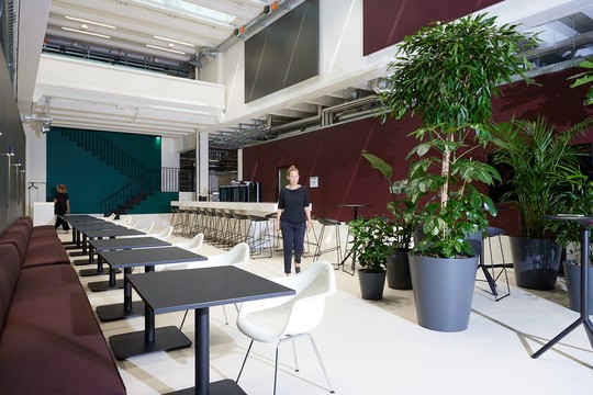 Bild von Der Mensch im Mittelpunkt