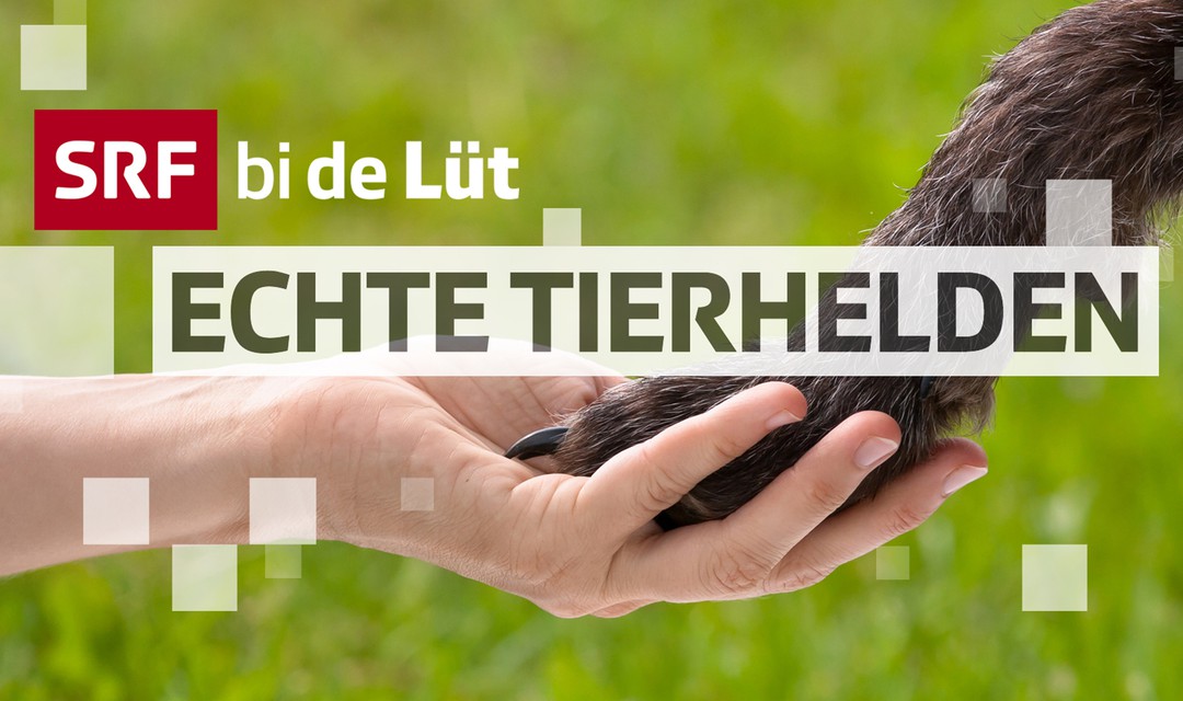 SRF bi de Lüt - Echte Tierhelden, Keyvisual