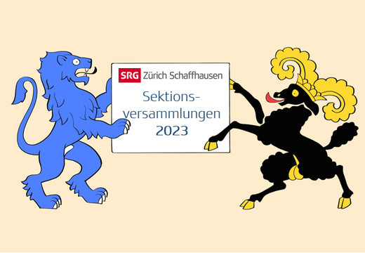 Bild von Sektionsversammlungen 2023