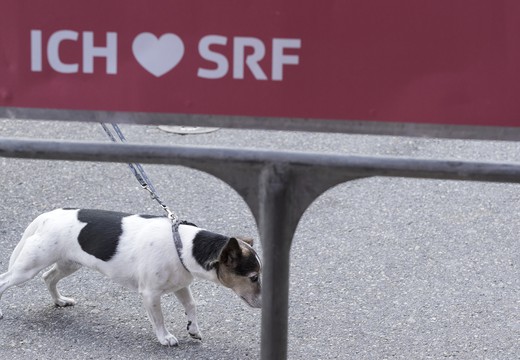 Bild von Fotogalerie SRG bi de Lüt in Baden