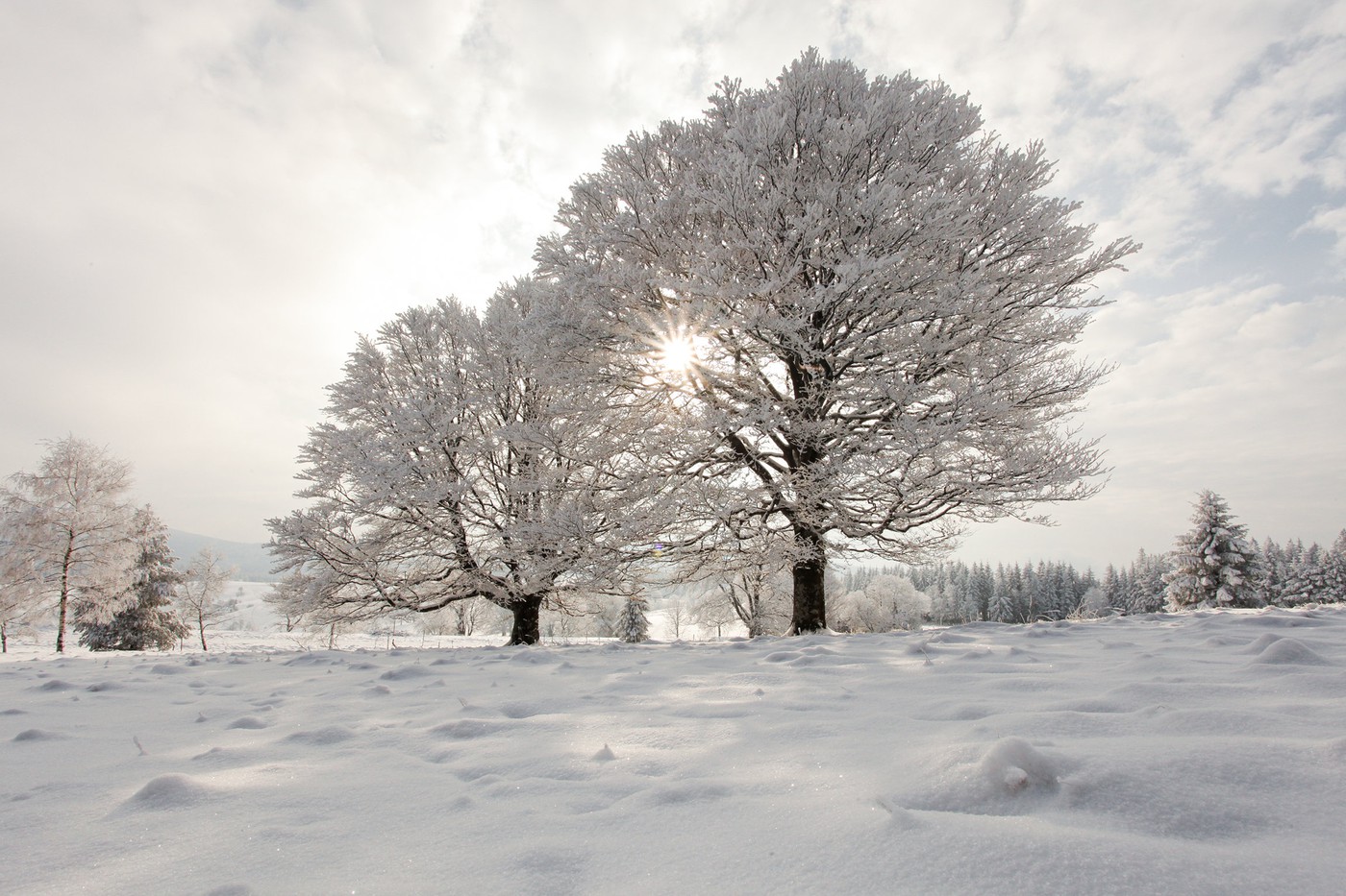 Zauberhafte Winterlandschaft.