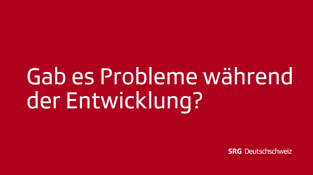 Frage 8: Gab es Probleme während der Entwicklung?