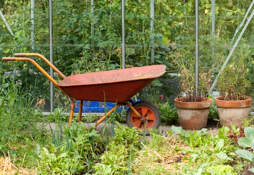 Bild von Themenwoche auf SRF Kultur: Garten