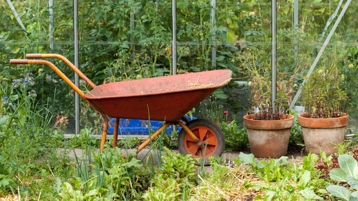 Bild von Themenwoche auf SRF Kultur: Garten