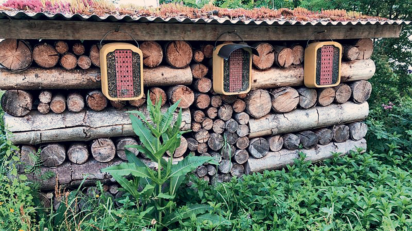 KoKeJa's Wilder Garten mit Insektenhotel in Oberentfelden.