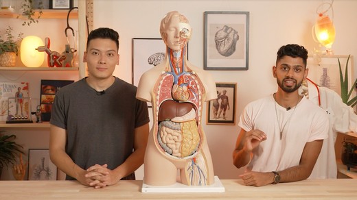 Bild von «Puls Check»: Das neue Wissensformat auf YouTube