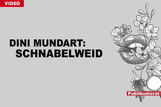 Bild von Im Fokus des Publikumsrats: «Dini Mundart – Schnabelweid»