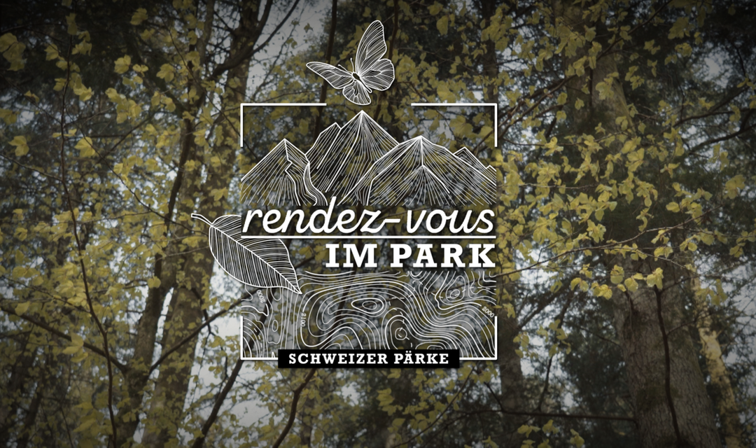 Keyvisual «Rendez-vous im Park»