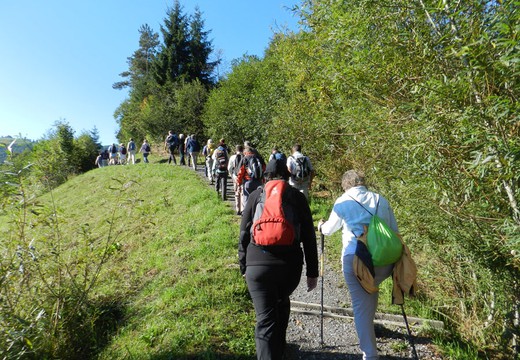 Bild von Spurensuche im Hochmoor von Rothenthurm