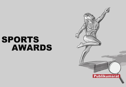 Bild von Im Fokus des Publikumsrats: «Sports Awards»