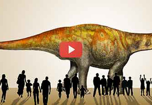 Bild von Unsinnig und verfälschend? Kritik an Dinosaurier-Sendung