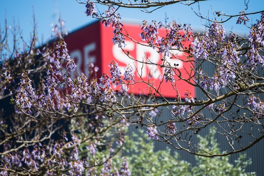 Bild von Erstes Halbjahr 2019: Positive Bilanz für SRF