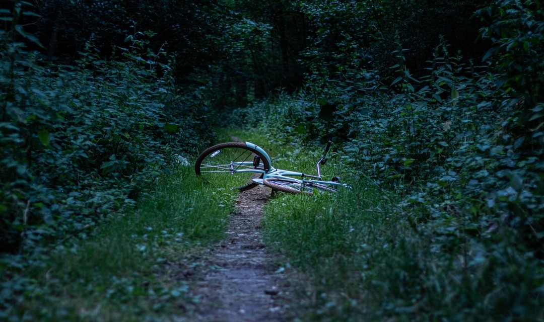 Ein Velo liegt im Wald am Boden