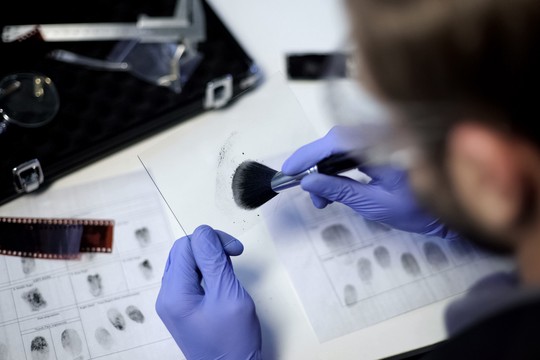 Bild von Real Life vs. Fiktion: Auf Spurensuche