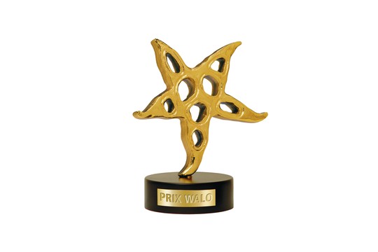 Bild von SRF gewinnt vier Preise am Prix Walo 2018