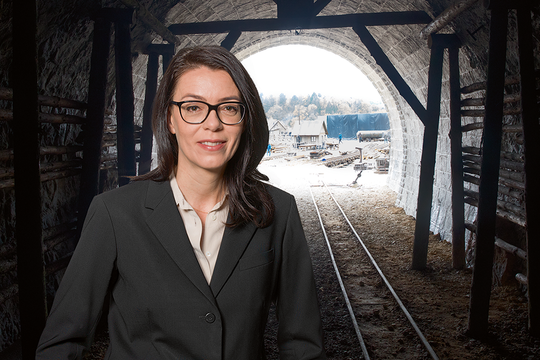 Bild von «Was geht uns der Gotthard an?»