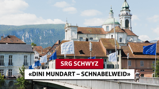 Bild von 40. Solothurner Literaturtage bei Radio SRF