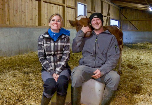Bild von «Reporter»: Vegane Bauern – Von der Milch- zur Hafermilchproduktion