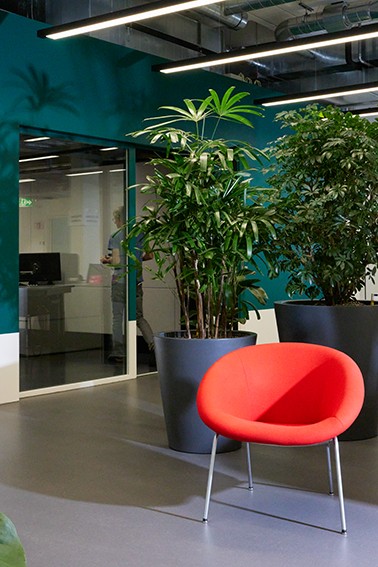 Roter Sessel vor einer grünen Pflanze vor dem Studio