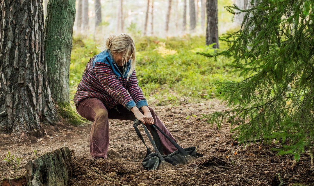Eine Frau stösst im Wald auf einen millionenschweren Fund