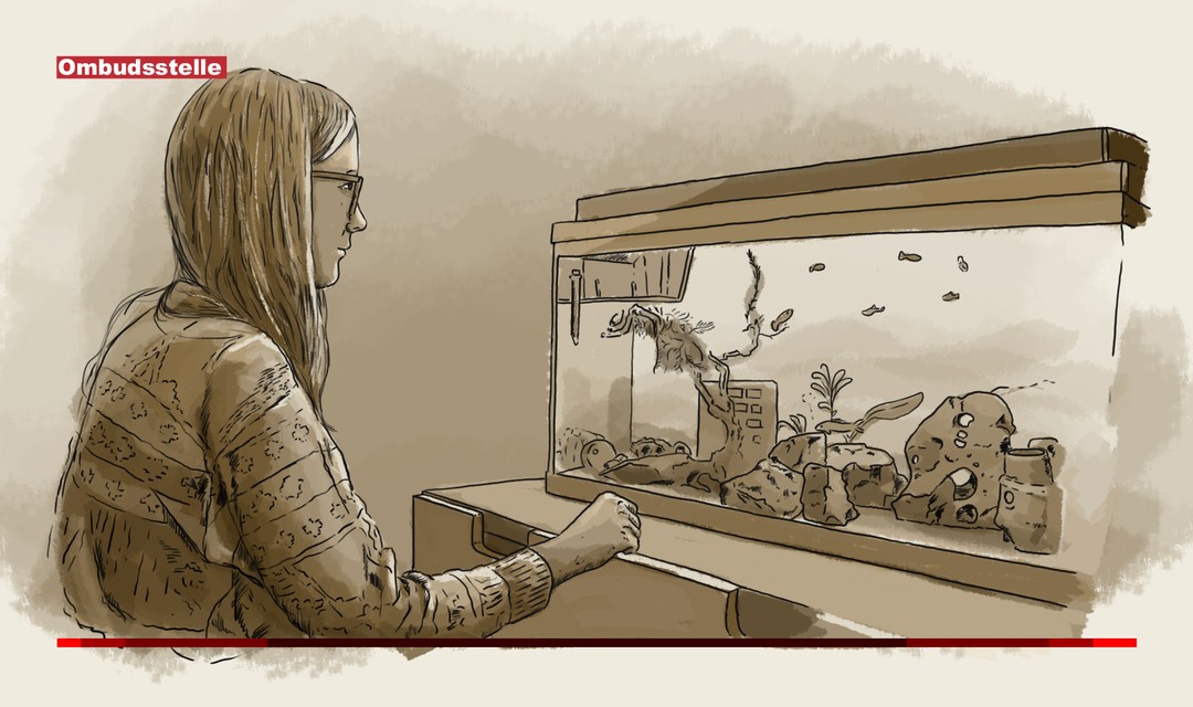 Illustration: Ein Mädchen schaut in ein Aquarium.