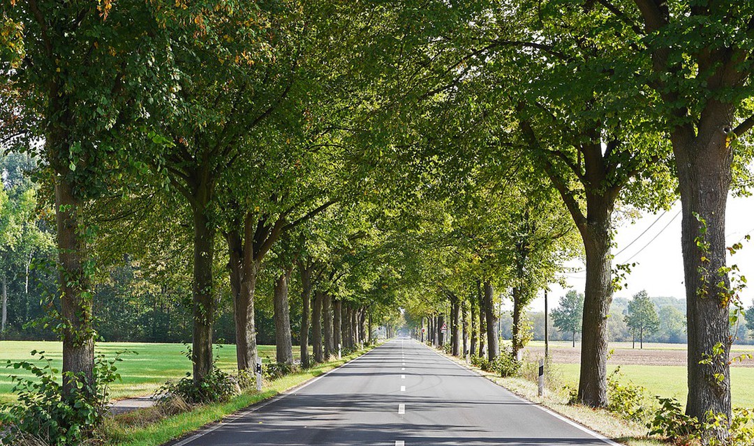 Bild von «SRG.D on the road» in Laufen