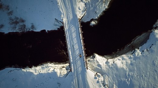 Bild von Auf der grossen Leinwand: «Paths of Life»
