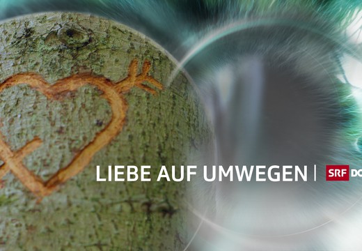 Bild von «Liebe auf Umwegen»: Beim zweiten Anlauf klappt's