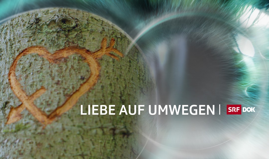 Bild von «Liebe auf Umwegen»: Beim zweiten Anlauf klappt's