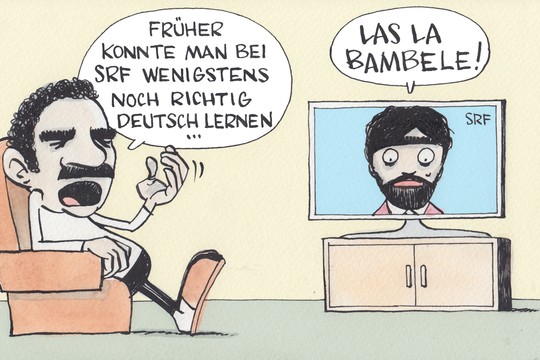 Bild von «Mein Senf»: Dauerthema Integration